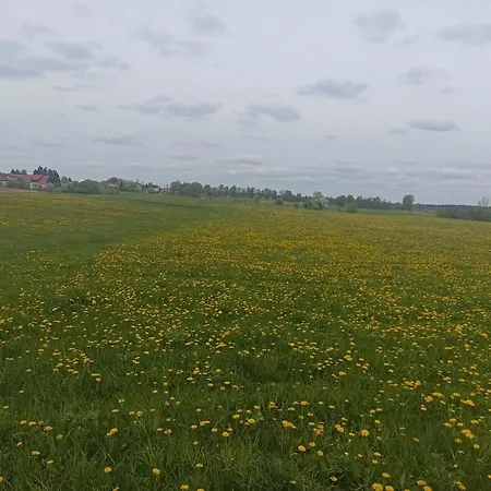 Dom Na Mazurach ,, Pod Grusza 